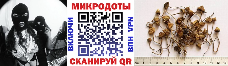 Псилоцибиновые грибы мухоморы  Купить где  Харовск 